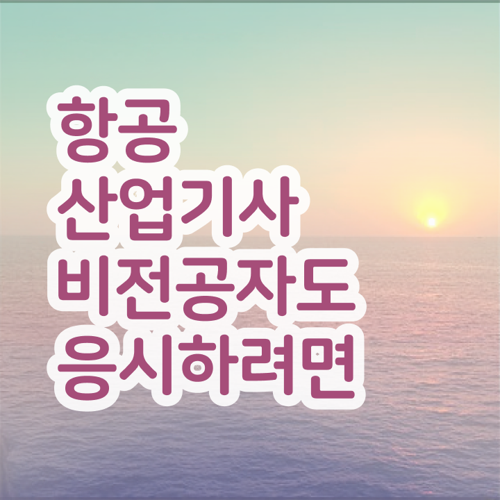  항공산업기사 비전공자 항공산업기사 자격요건 온라인으로 반 년만에 끝낸 과정