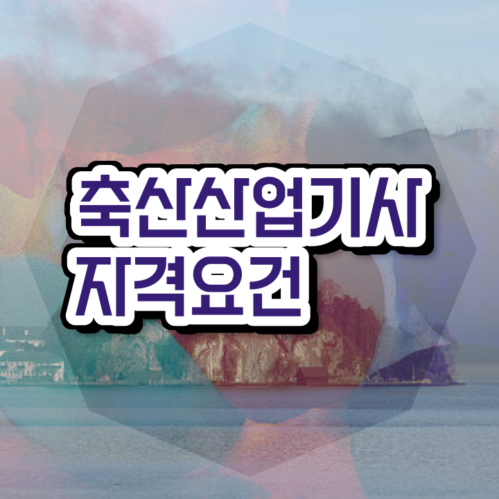  축산산업기사 필기 과목 축산산업기사 자격요건 학점은행제로 15주 동안 끝낸 전략