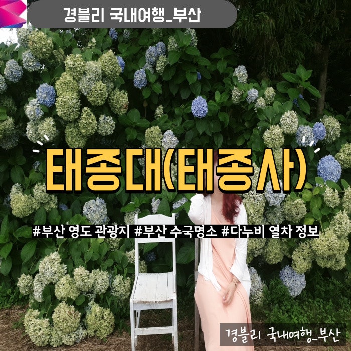  부산영도여행 태종대 주차, 다누비열차, 부산수국명소 태종사 수국 실시간 개화상황