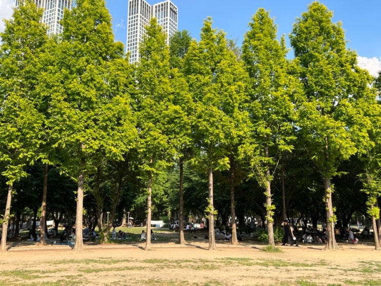  서울숲 놀거리 데이트코스 코스 먹거리 총 정리(제이드살룬, 성수팝업, 이리데센트 등)