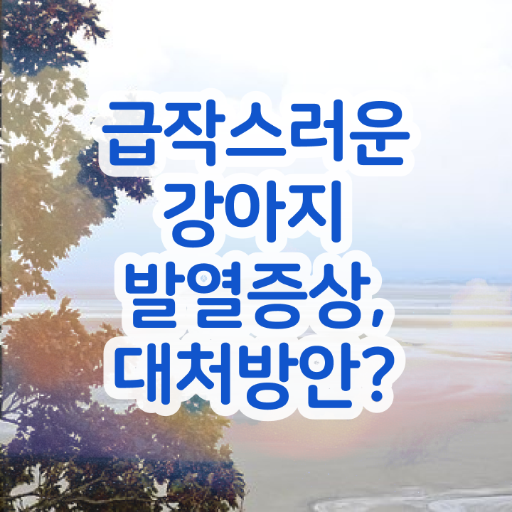  반려동물관리사시험과목 , 반려동물관리사 자격증 합격한 전략 알려드려요