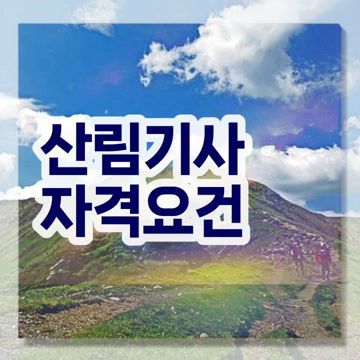  산림기사 합격 산림기사 취득자격 인강으로 간편하게 준비한 전략