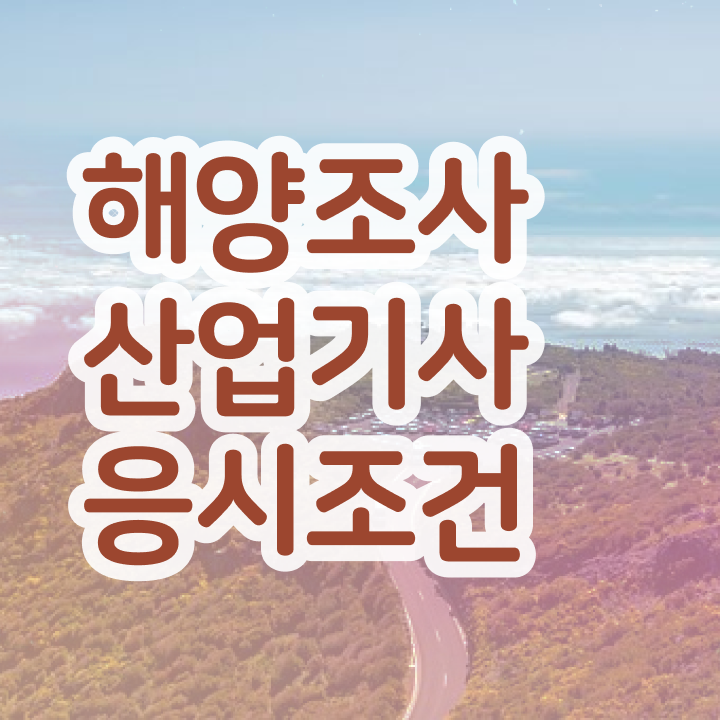  해양조사산업기사 자격요건 온라인 과정으로 5달만에 성공한 팁