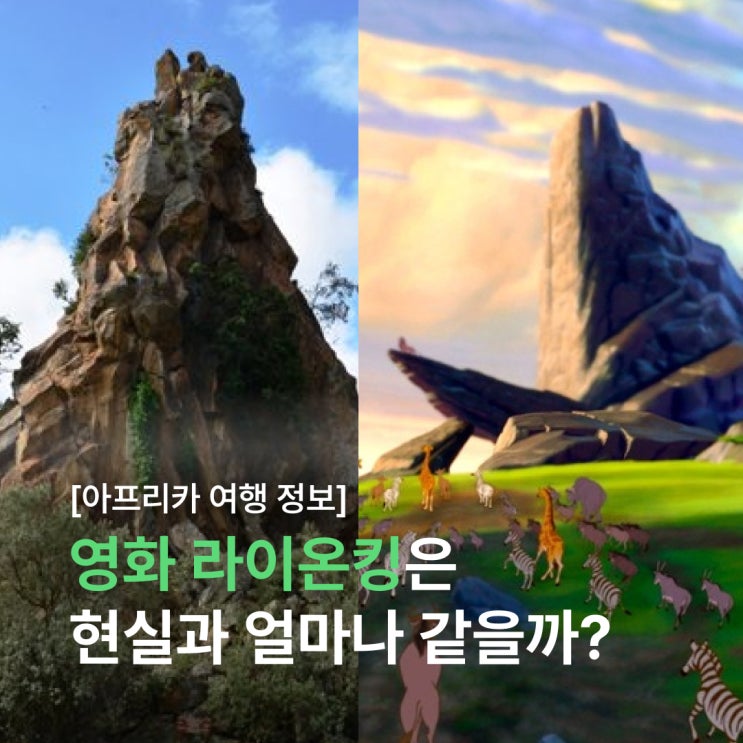  무파사 개봉 기념! 영화 라이온 킹은 현실과 얼마나 같을까? 영화 현실 배경 설명 및 등장인물 이름 파헤쳐 보기 (feat. 케냐, 탄자니아, 나미비아)