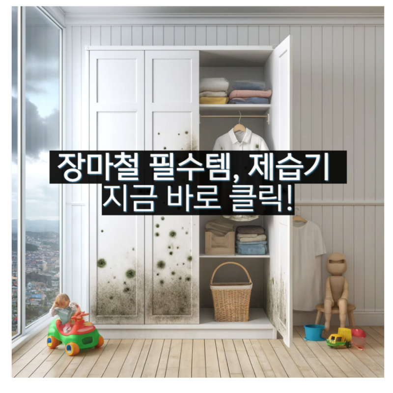 2024년 장마 기간