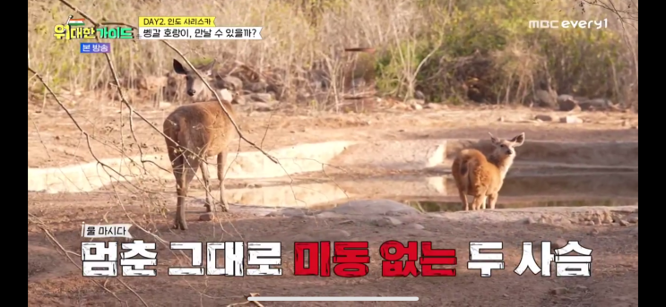 해외여행 예능 럭키, <b>박명수</b>와 떠나는 <b>위대한가이드</b> 인도
