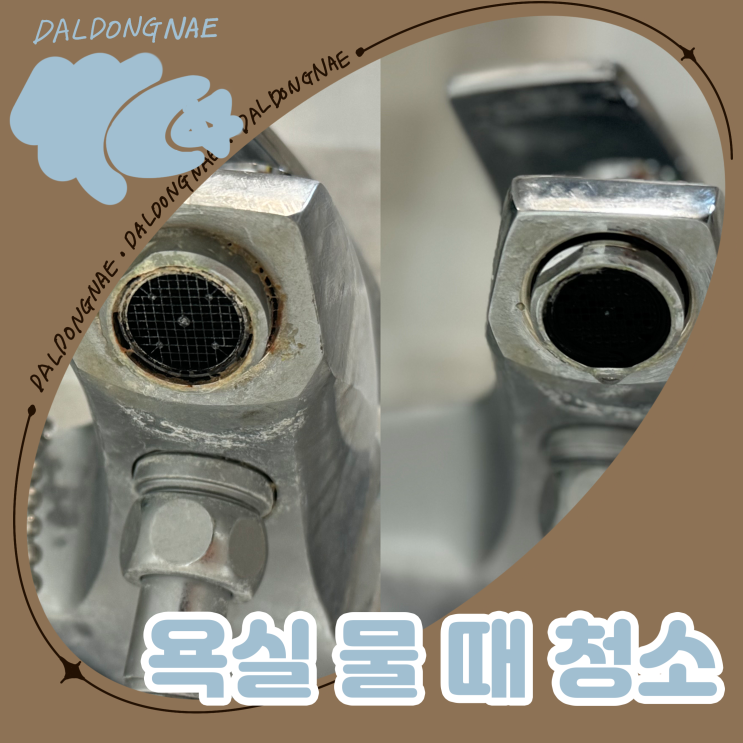  구연산으로 화장실 청소하는 법