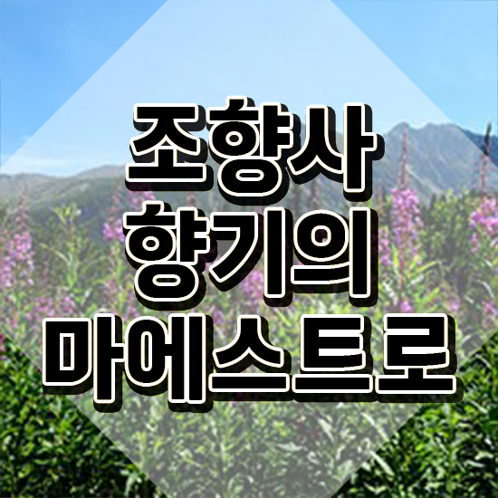  향수 제조 , 조향사자격증 취득 정보 , 무료 교육기관