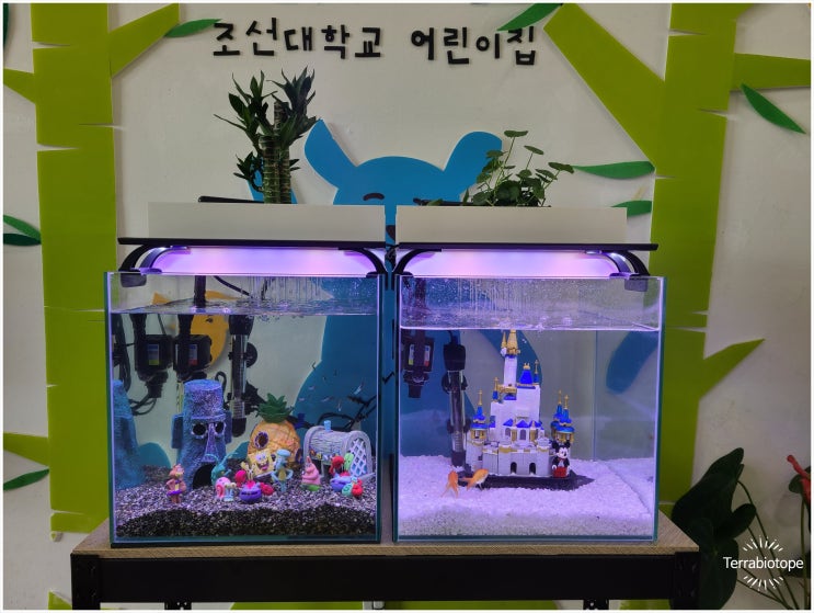   무환수 어항 테라비오톱 어린이집 설치
