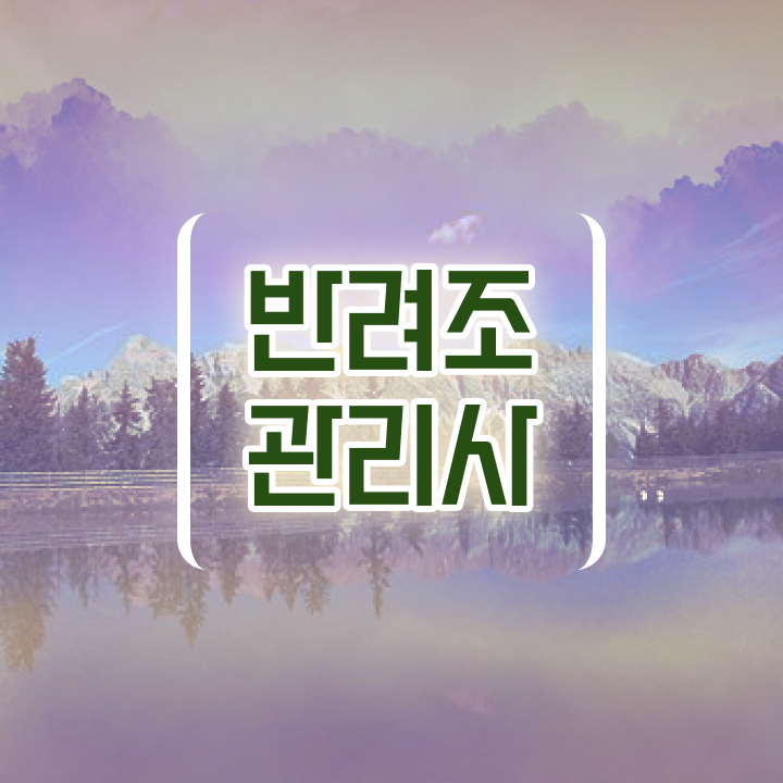  코뉴어 앵무새 , 반려조관리사 자격증 시험준비 확인하기