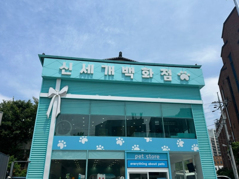 사진 3