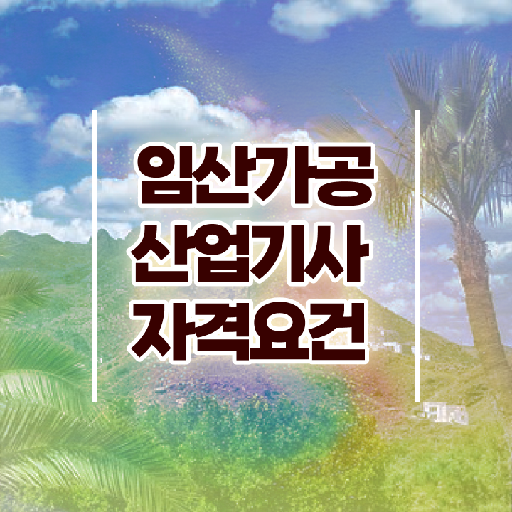  임산가공산업기사 실기 후기 임산가공산업기사 취득자격 집에서 온라인으로 4달 안에 완료한 비법