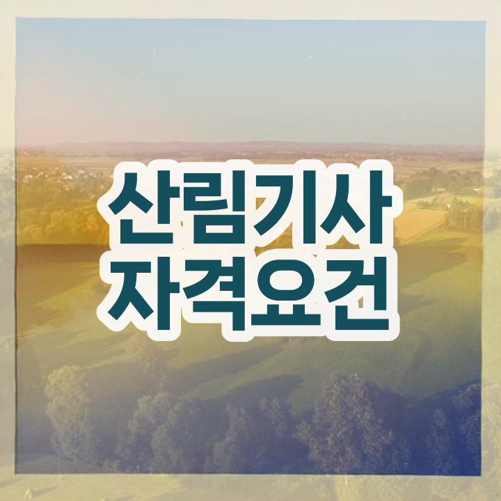  산림기사 국비지원 산림기사 시험자격 온라인으로 4개월 만에 완료한 과정