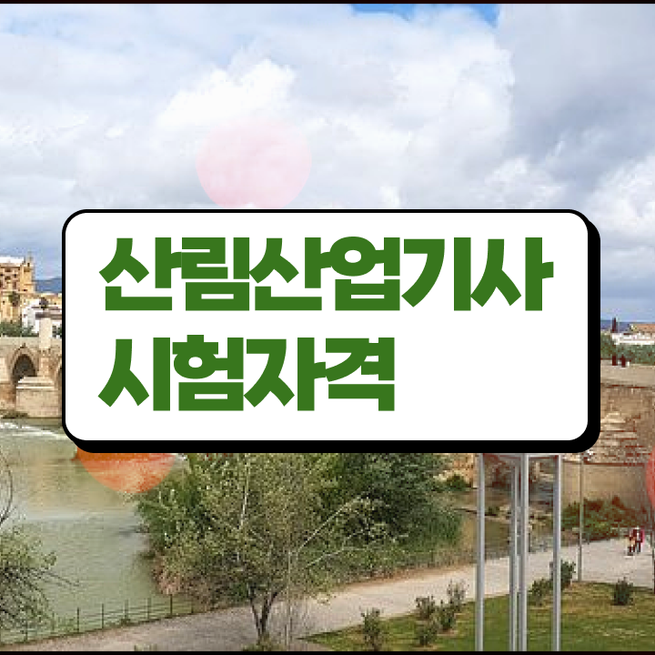  산림산업기사 학점은행제 후기 산림산업기사 취득자격 집에서 온라인으로 4개월 만에 준비한 후기