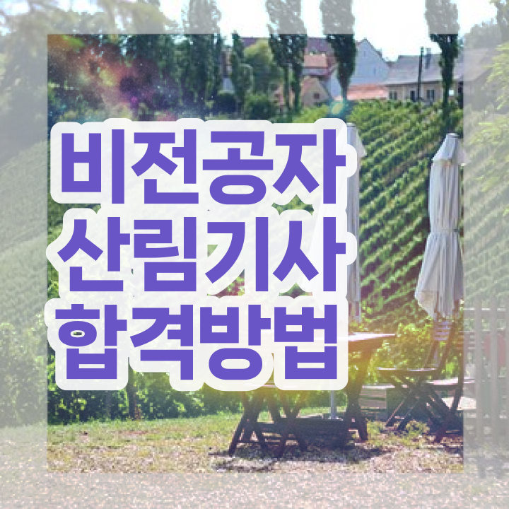  산림 기사필기 산림기사 취득자격 온라인 과정으로 4달 안에 완료한 전략