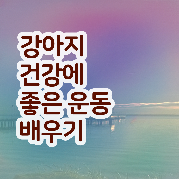  반려견운동지도사 무료 특강 , 반려견운동지도사 2주 만에 취득한 노하우