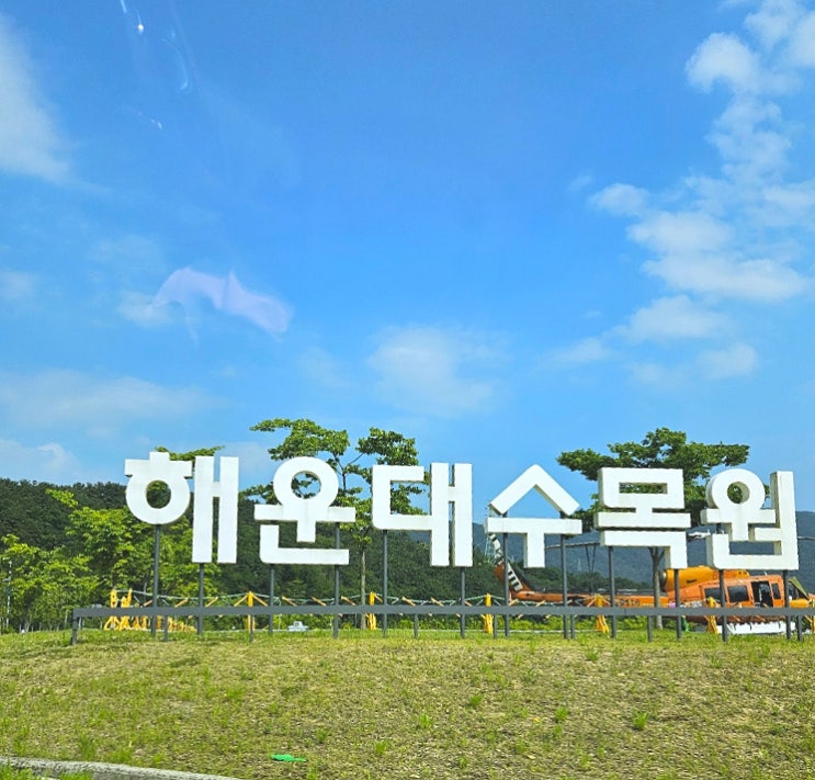  부산 가볼만한곳 해운대수목원