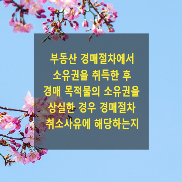  부동산 경매절차에서 소유권을 취득한 후 경매 목적물의 소유권을 상실한 경우 경매절차 취소사유에 해당하는지(재심 등으로 판결 등이 취소되는 경우)