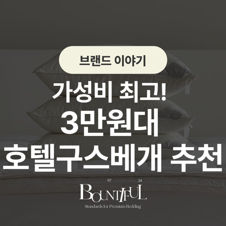  가성비 최고! 3만원대 호텔 구스 베개 추천
