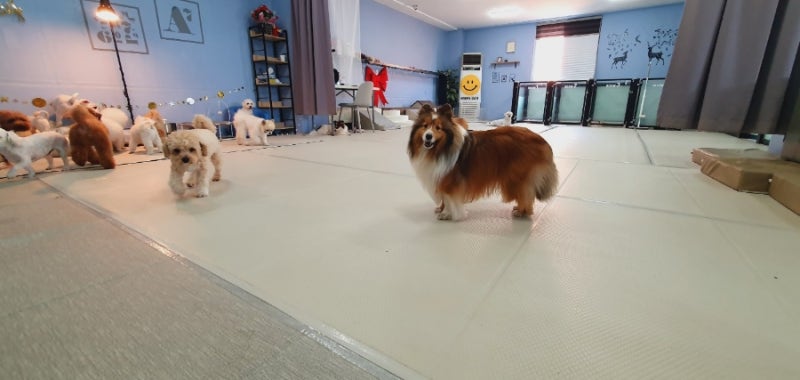 사진 2