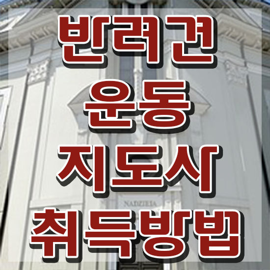  반려견운동지도사 강의 , 반려견운동지도사 취득한 노하우 , 현황과 채용정보