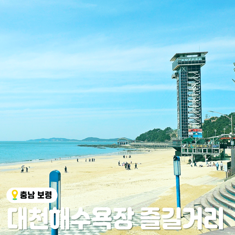 대천해수욕장 놀거리 모음집 : 네이버 블로그