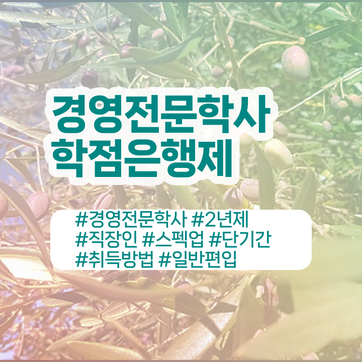  , 경영학 편하게 성공한 전략  학은제 독학사 경영학 플래너 이것만 보세요 !!!