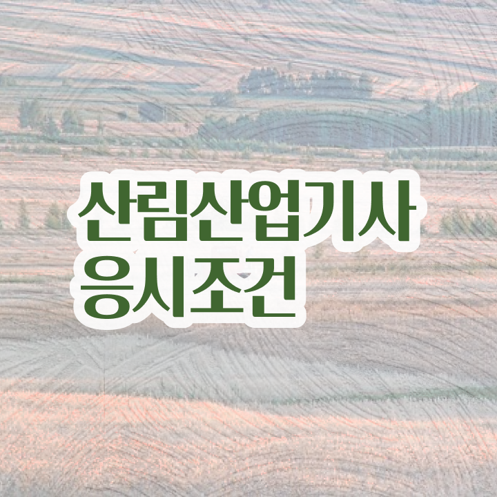  산림산업기사 시험과목 산림산업기사 자격요건 온라인 과정으로 5달만에 준비한 팁