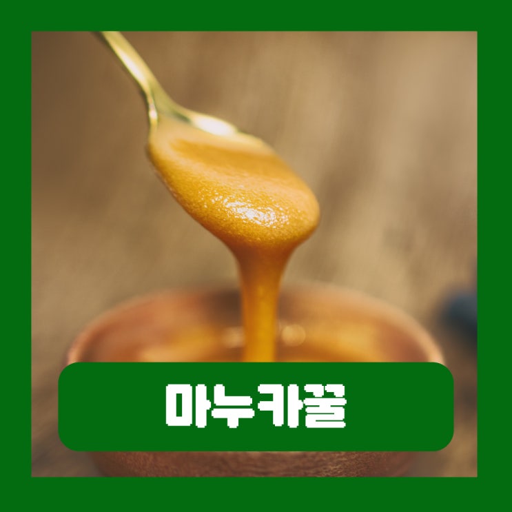  뉴질랜드 마누카꿀 효능 부작용 호주 스틱 등급 먹는법
