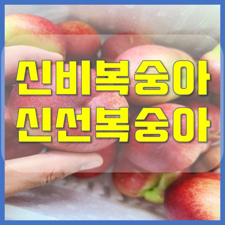 신비복숭아 신선복숭아 차이점
