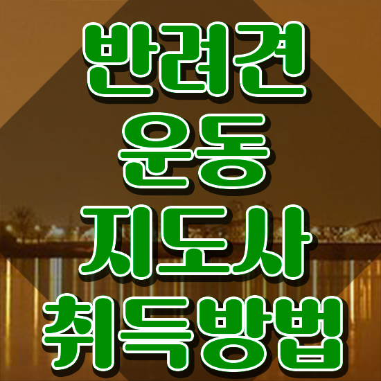  40대추천자격증 , 고졸자도 반려견운동지도사 취득 가능해요