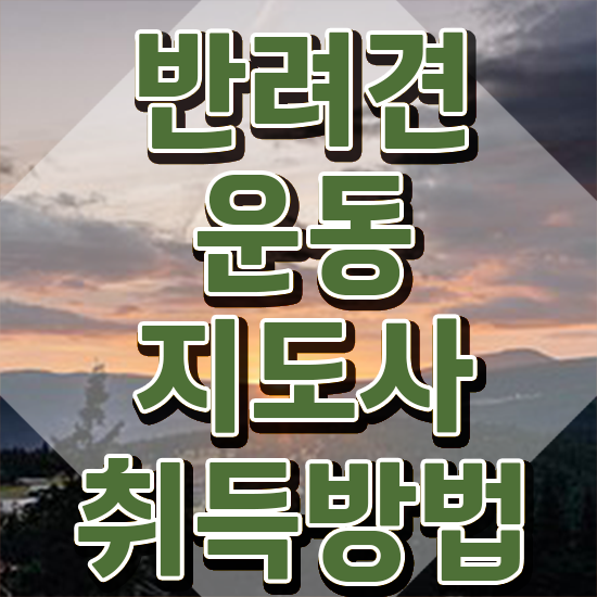  40대여성자격증 , 경력없어도 반려견운동지도사 취득할 수 있어요