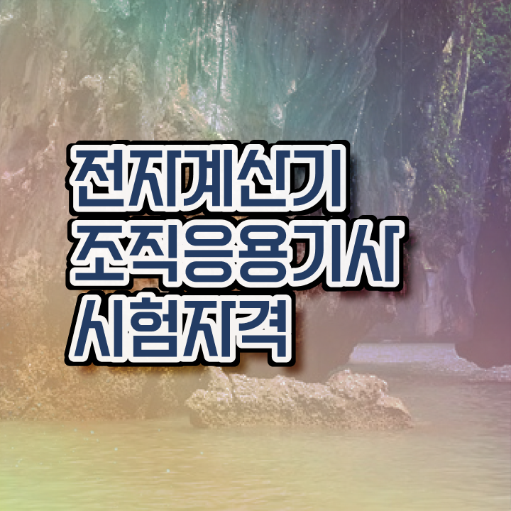  전자계산기조직응용기사 응시조건 독학으로 15주만에 준비한 과정