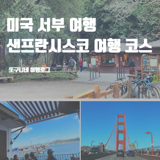  샌프란시스코 여행 코스 : 금문교 & 소살리토 & 뮤어우즈 국립공원