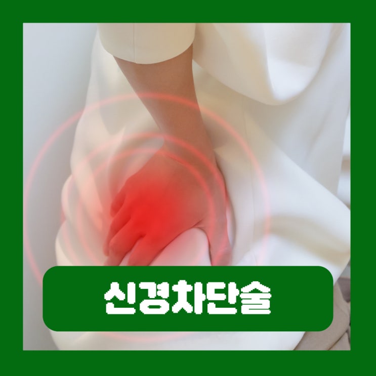  척추 신경차단술 주사 부작용 허리 디스크 통증 효과 비용 실비