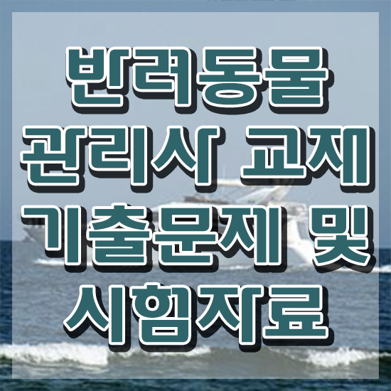  대구 강아지 훈련사 , 반려동물관리사 자격증 단기간에 취득했던 후기 , 이후 전망