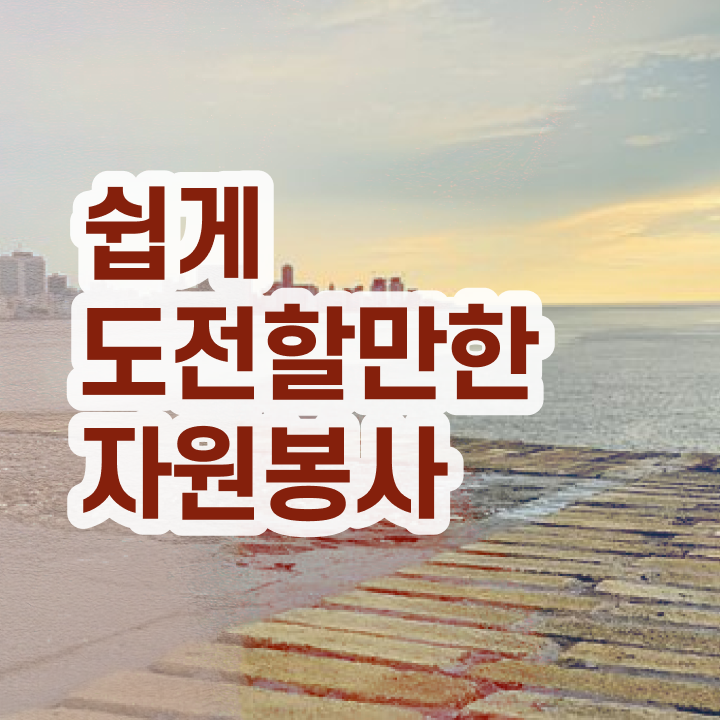  자원봉사 종류 , 자원봉사지도사 자격증 2주 만에 준비한 방법 확인해봅시다