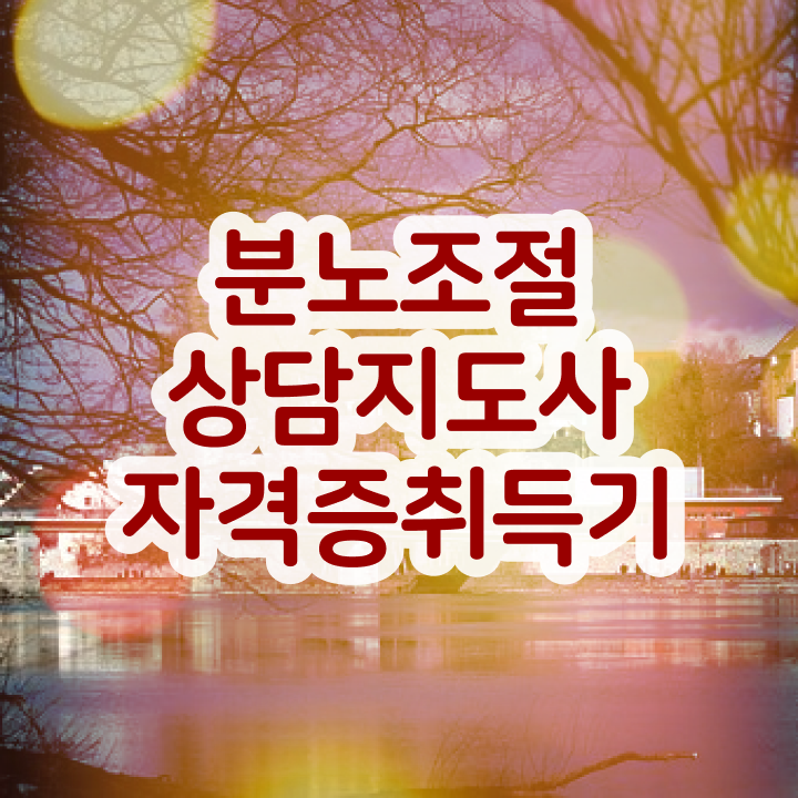  분노조절장애영화 한달 만에 분노조절상담지도사 합격한 후기