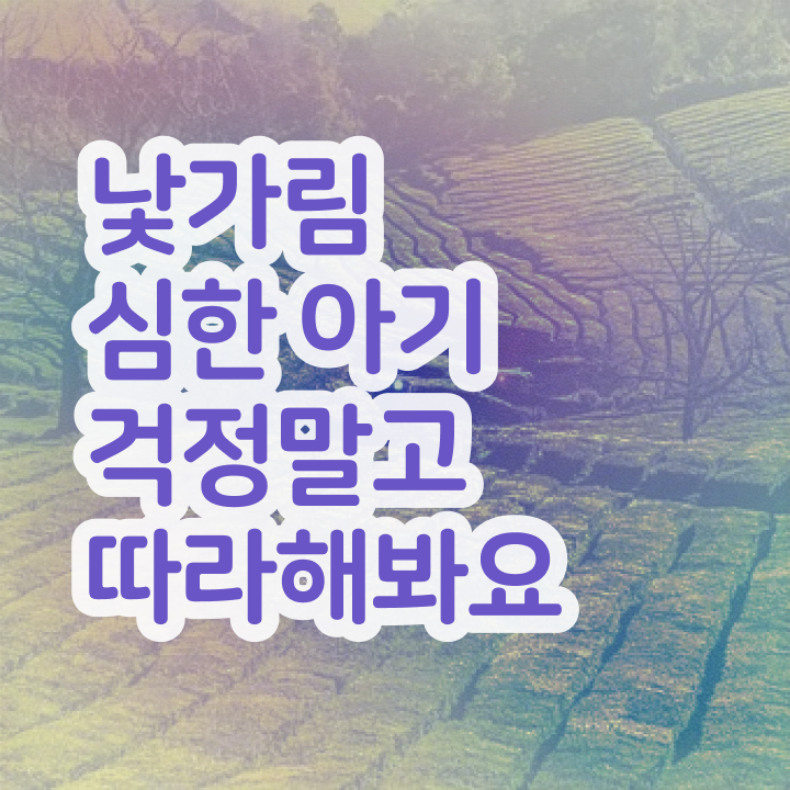  아동소통지도사 수업 , 아동소통지도사 자격증 합격한 후기 요점정리