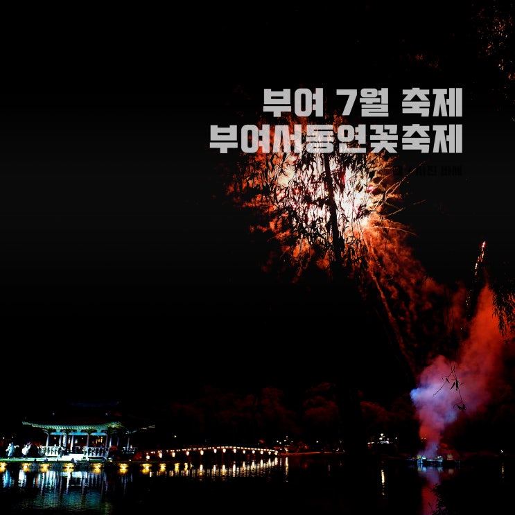  충남 부여 7월 축제, 부여 서동연꽃축제 재방문 이유