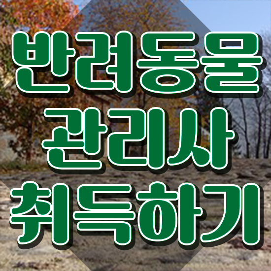 , 반려동물관리사 자격증 온라인으로 쉽게 취득했던 후기 및 전망