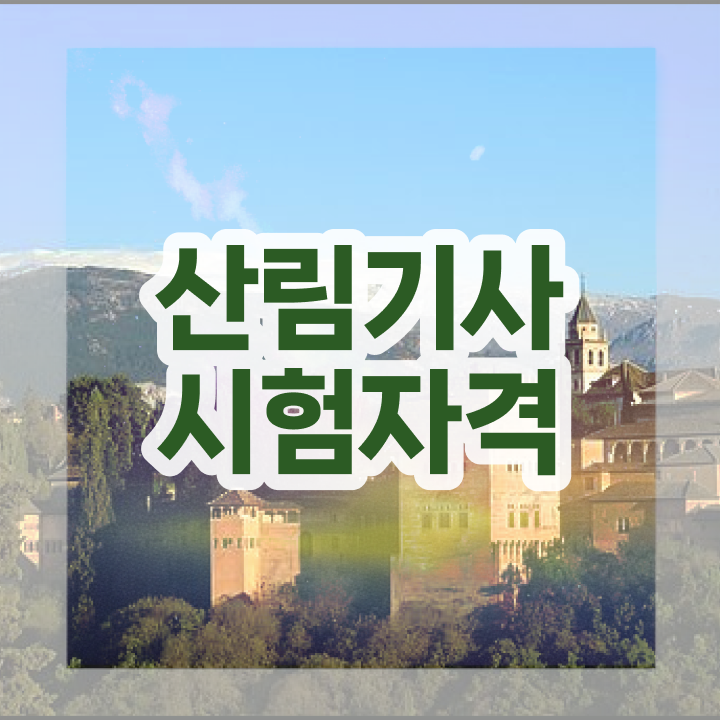  산림기사 산림기사 응시조건 인강만 듣고 4달 안에 완료한 비법