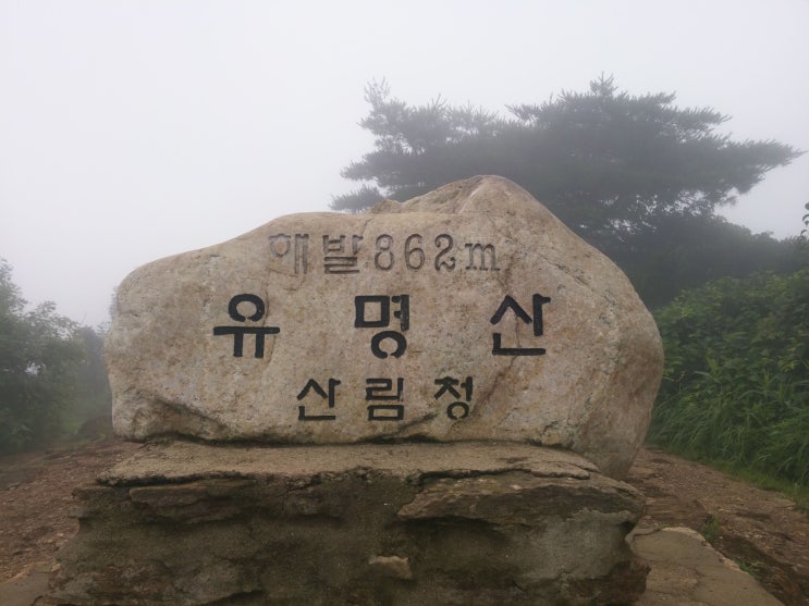  100대 명산 : 유명산 여름 산으로 계곡물이 끝내줍니다. 꼭 여름에 가세요.