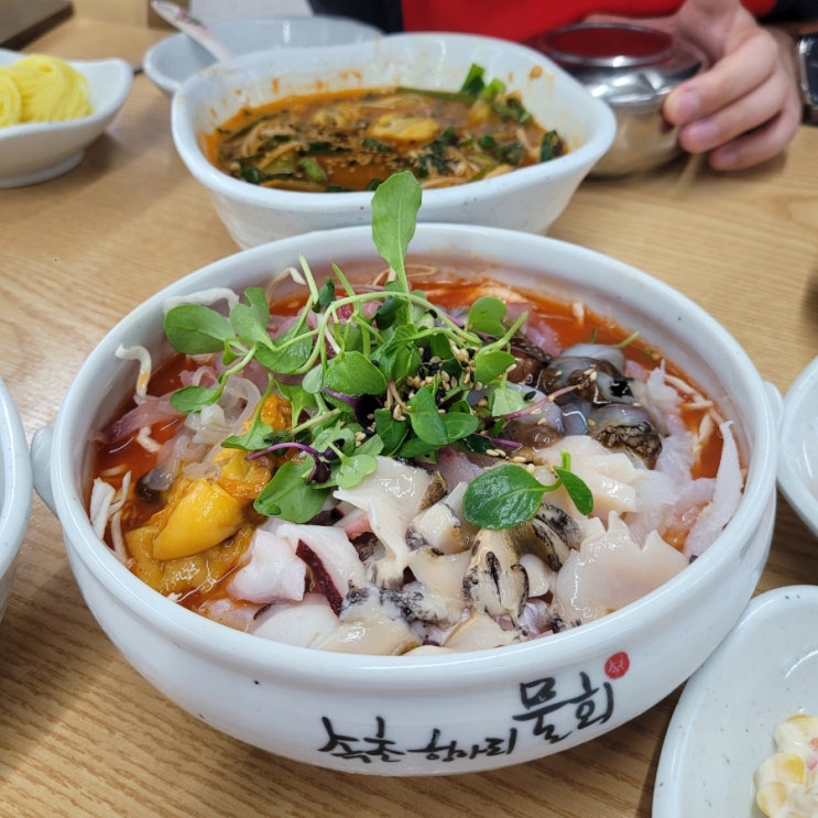  강원도속초동명항 근처 맛집 속초항아리물회 속초해수욕장맛집