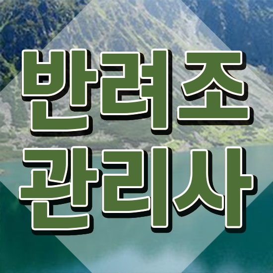  모란앵무분양 , 반려조관리사 자격증 취득했던 후기 확인하세요
