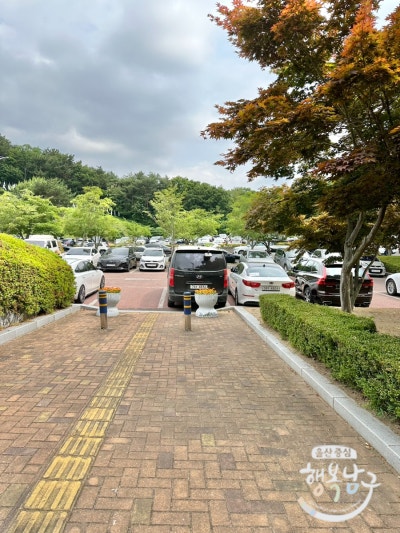 사진 6