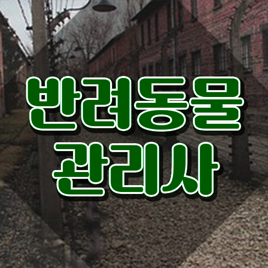  반려동물관리사1급인터넷강의 , 반려동물관리사 자격증 20일 만에 합격한 팁 체크해보세요