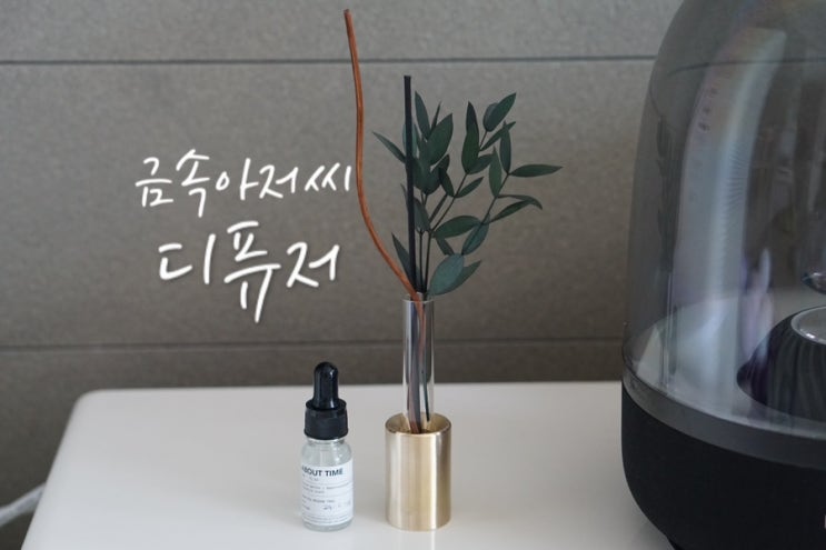  홈 인테리어 금속아저씨 황동디퓨저 실내 디퓨저 추천
