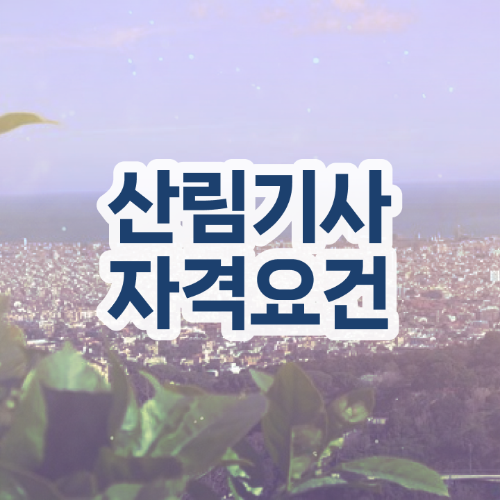 산림기사 합격률 산림기사 자격요건 학점은행제로 15주 동안 끝낸 전략