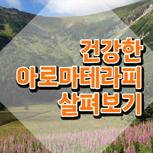  아로마뷰티diy지도사 강사 , 아로마뷰티DIY지도사 자격증 온라인으로 간단히 취득했던 후기 알아보기